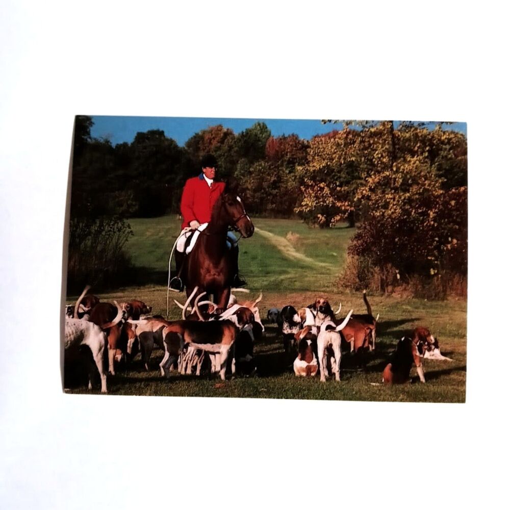 New The Hunt Postcard Metamora MI Horse Blessing Hounds Fox Hunting Huntsman